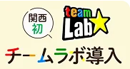 チームラボ導入